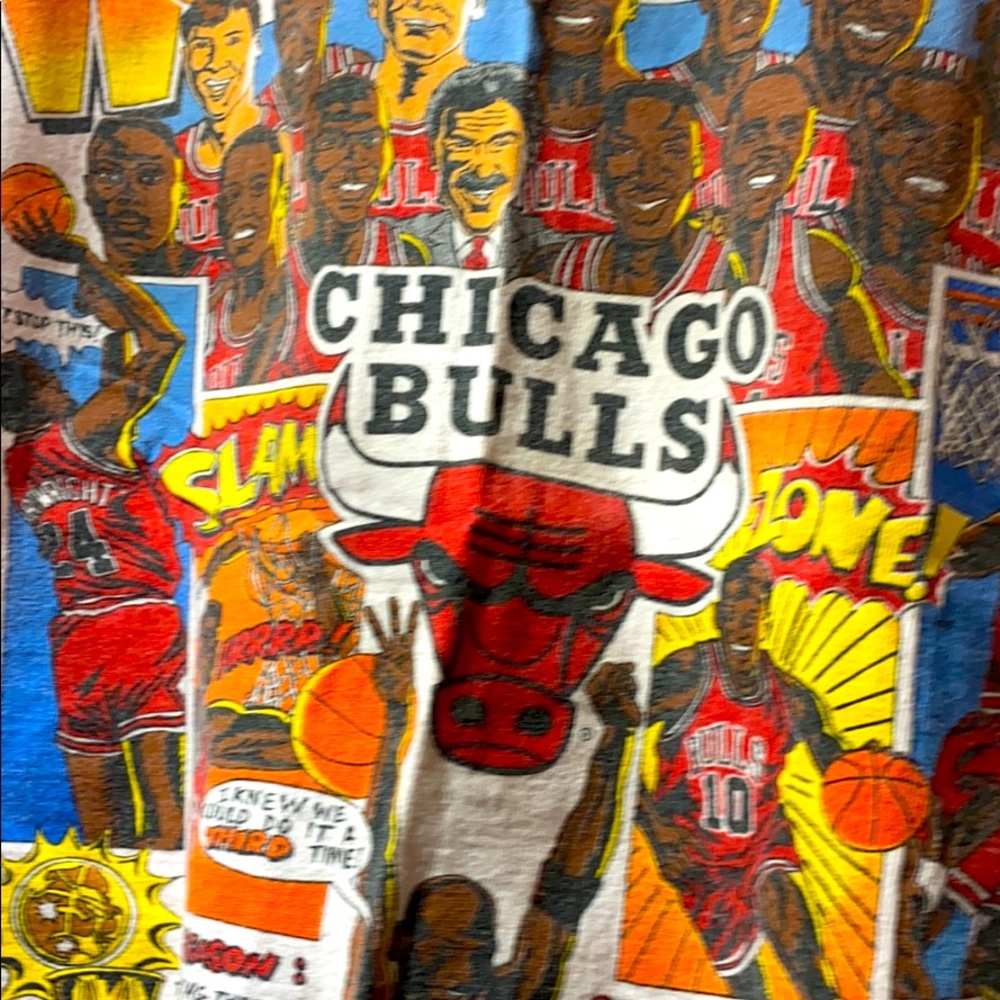 Chicago Bulls Championship 1993